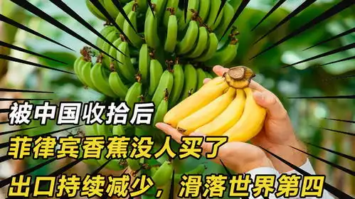 被中国收拾后,菲律宾香蕉没人买了,出口持续减少,滑落世界第四