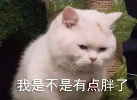 快乐表情包2022年过年