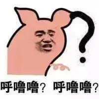 确认过眼神,我遇到了48天后的ta