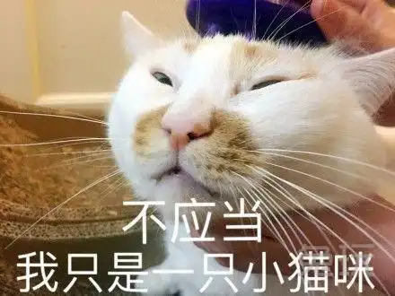 nononono猫表情包楼楼
