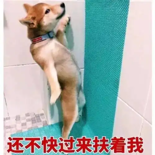 万能斗图表情包,快来收图
