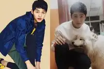 实力逼婚啊外科风云杨羽甩耳光解决婚姻大事领证时身后的群演亮了