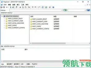 regcool中文版