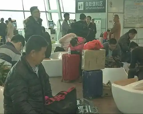 辽宁男子抱猪来揭阳转机,原来是小暖男一枚