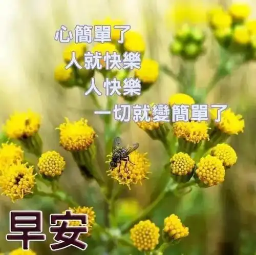 要知道,一切最好的最深刻的东西都是真实的,早安