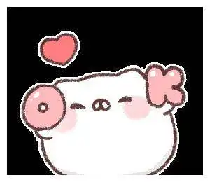 猫猫团子系列表情包
