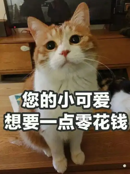 11.11,最美妙的事情不是清空购物车,而是找到那个ta清空你的购物车......