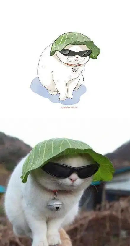 画家用漫画还原沙雕猫咪,不说毫不相干吧,起码是一模一样