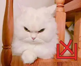 被猫爪子蹭到没出血破皮有事吗