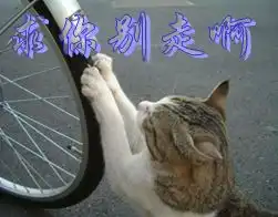 求你别走啊动物图片搞笑微信表情爱微帮
