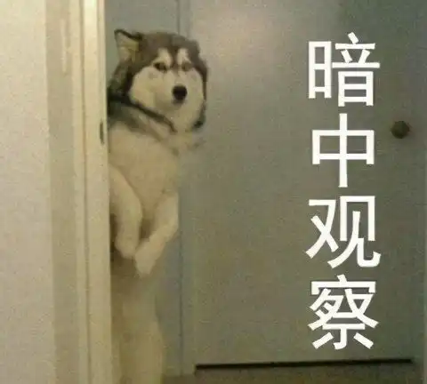 梦幻西游的牧场玩法为何老被策划追着砍