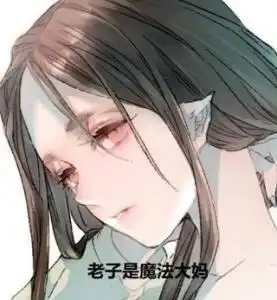 老子是魔法大婶