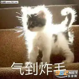 炸毛表情包图片表情包