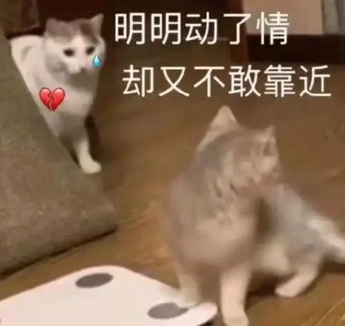 大学进阶指南大学恋爱中,如何处理好亲密关系