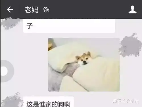 千万别和父母发表情包,你不知道他们的脑洞多大