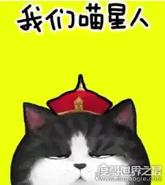 我们喵星人就是辣么拽,萌萌表情包有妹子说唱视频
