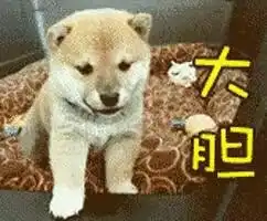大港人警惕看到这张红传单不要信,有些人无利可图跑路了