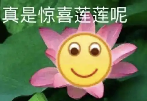 jk店铺现状都是被惯出来的吗
