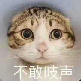 今天真是干燥,相对湿度一度不足20,关窗都被静电打到