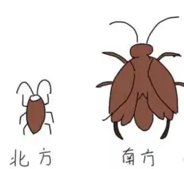 雨太大建议南方全面放假