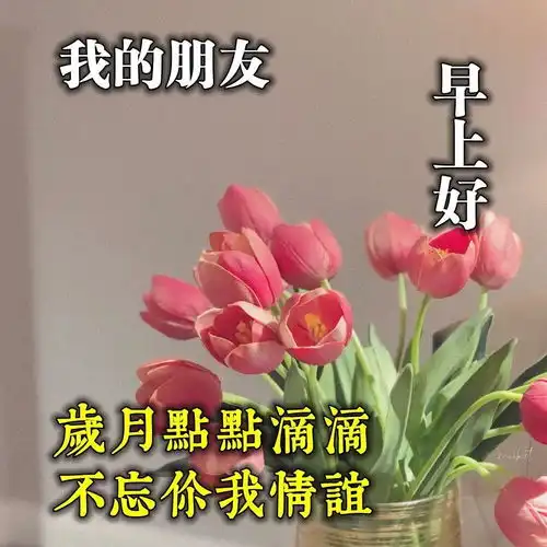 让人好心情的早安励志句子,清晨最美的正能量人生谨言