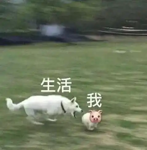 医学生专用表情包,拿走不谢