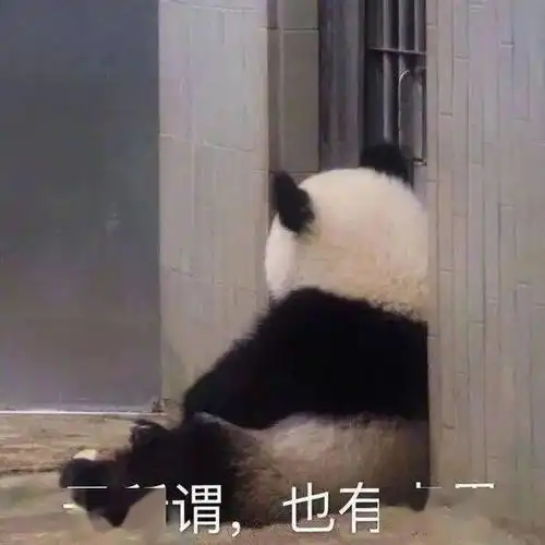 求求你别再演傻白甜