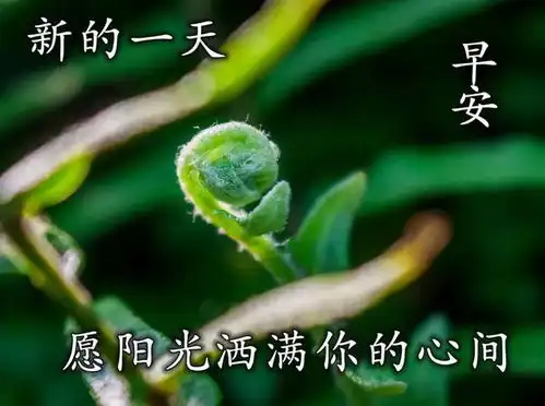 春天早上好问候祝福语带图片,早晨问候早安,唯美简短句子表情包