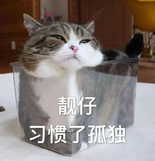你这一生,喜欢独处,享受单身