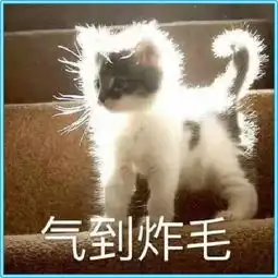 搞笑图片幽默段子小仙女专用表情包,你值得拥有腾讯新闻