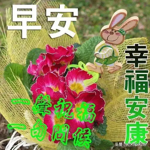 人生成功的要义,要自己去寻找人生快乐的内涵,要自己去诠释