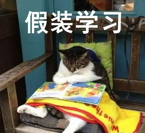 扶朕起来表情包作业