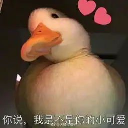 专门拍表情包的软件对鸭