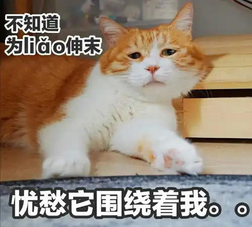 今天,我们想让你认识她知乎