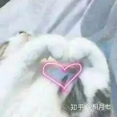 独生子女有什么特有的缺点