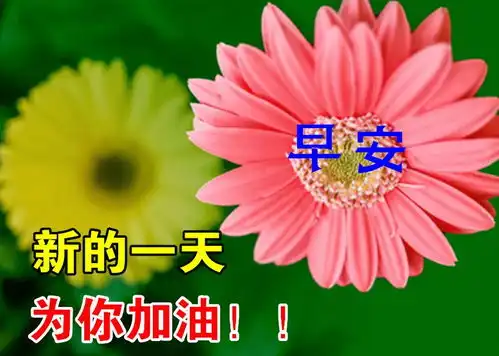 十一月到了群发清晨早上好问候祝福语动态图片早晨好问候动态图片表情带字