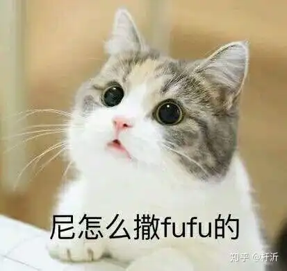 猫和狗谁更适合做表情包