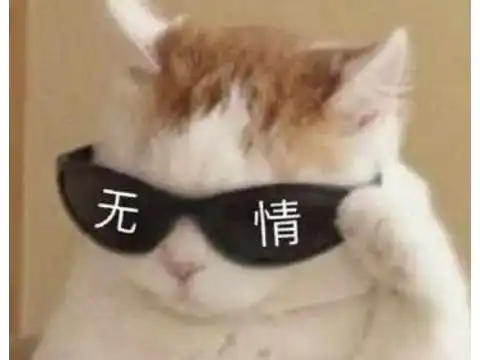 魔兽也存在海王敢绿阿尔萨斯的彪悍女人,还差点将部落灭族了