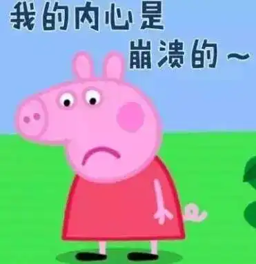 美女表情包抖音小猪