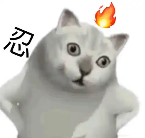 nononono猫表情包碰瓷
