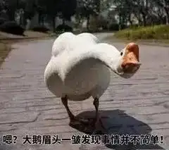 平时还是不要轻易翻男友手机不然可能会发现他开了后宫