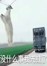 浸猪笼警告表情包好玩吗浸猪笼警告表情包怎么玩用户评论