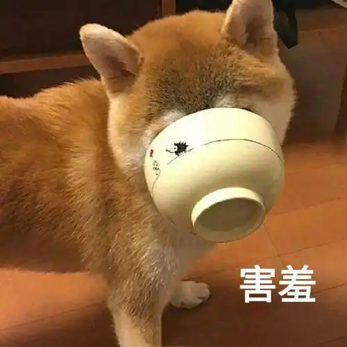 注意放假期间这件事不要忘记做,不然会影响你的减肥大计