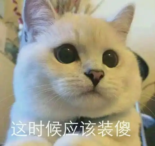 科普丨不开玩笑,猫已经当了几千年的主子