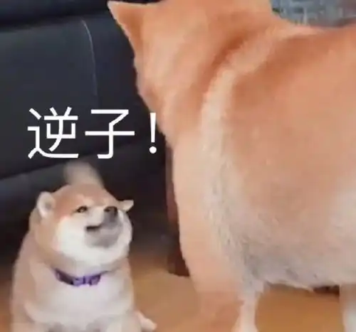 沙雕文案你不知道的爸爸妈妈的骚操作