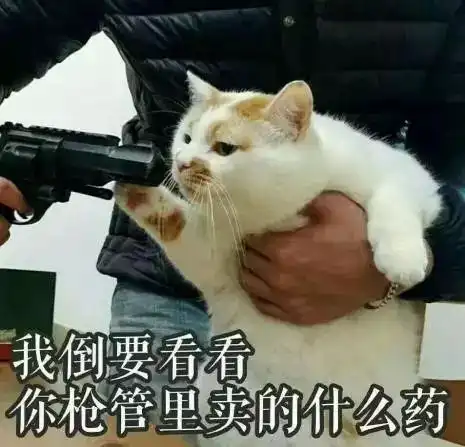 社团任意门为宠流浪动物救助协会