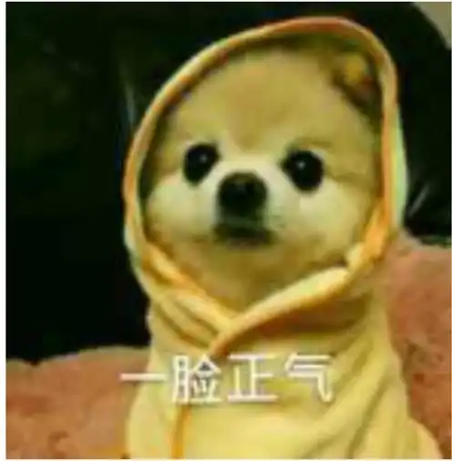 33万奖金已送出古镇人看看身边有无这十类交通违法行为举报就能拿奖励...
