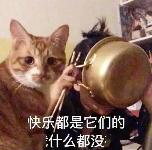 燃烧你的卡路里