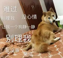 表情包跟我说这些没用,你会后悔的