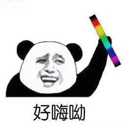 宠物跑进主人怀里的视频哈哈哈哈哈...